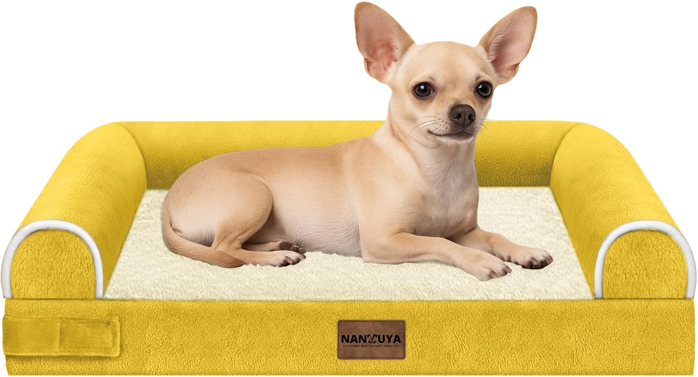 Small Dog Bed Orthopedic Washable for Cozy Comfort and Care