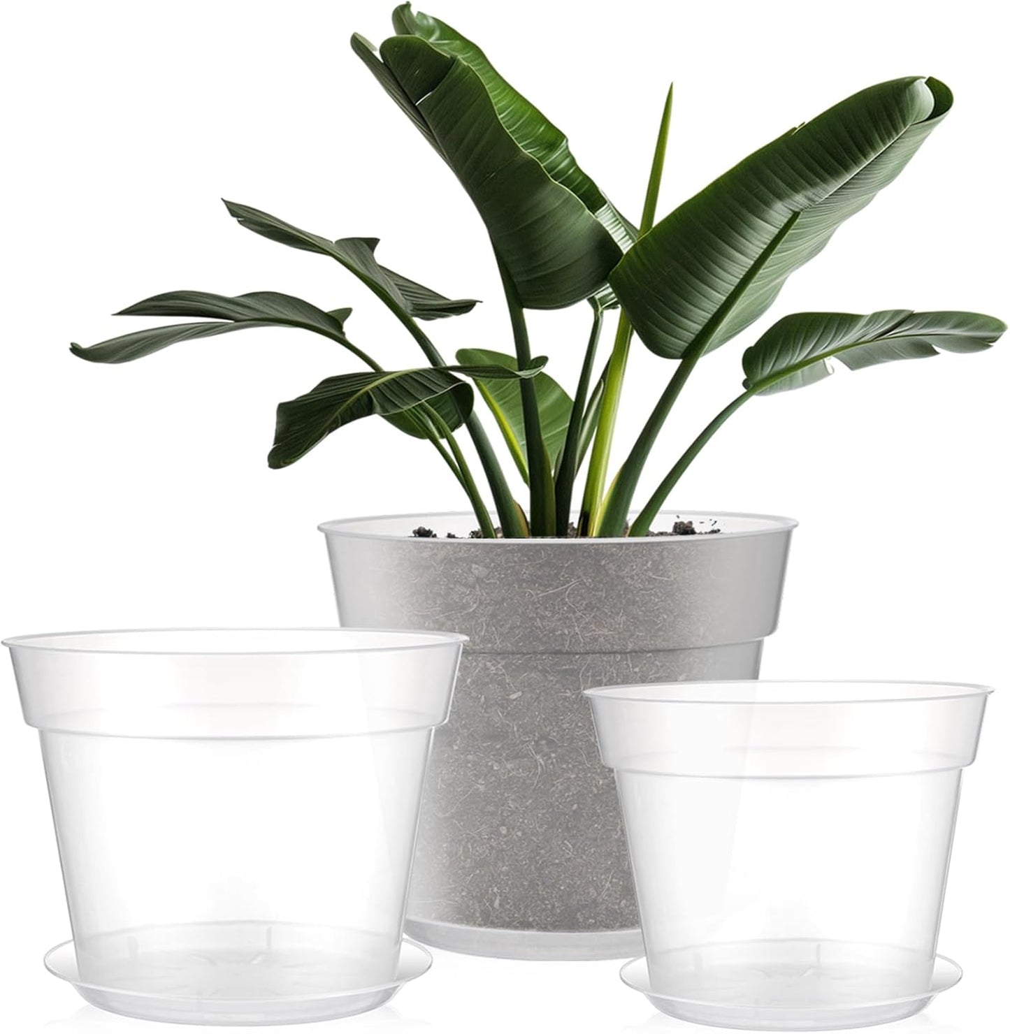 Clear Nursery Pots with Drainage Holes for Healthy Roots