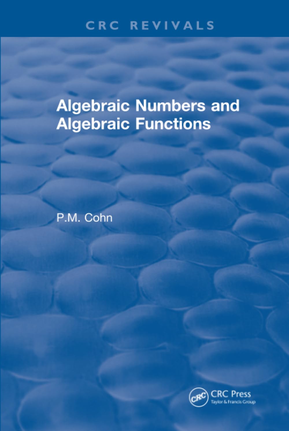 Algebraic Numbers and Functions - A Detailed Overview of Concepts