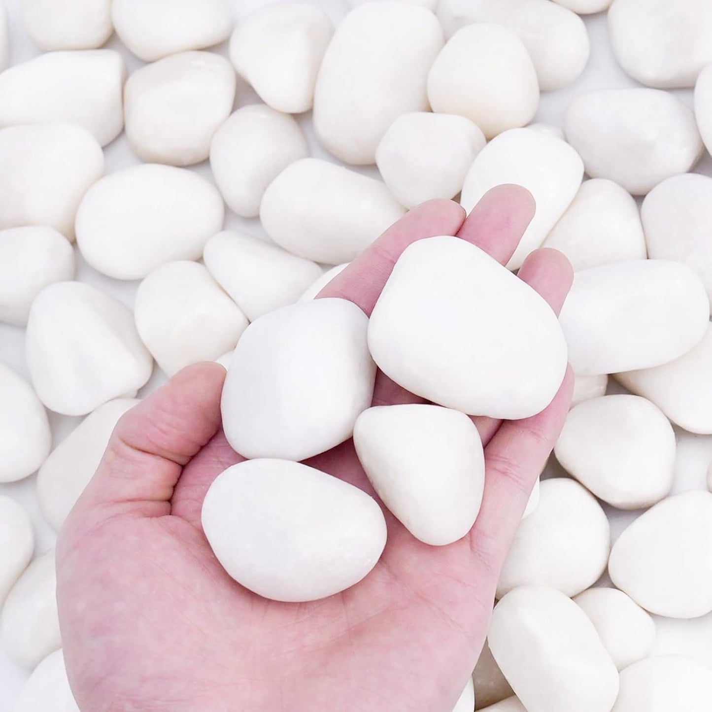30 lbs White Rocks for Plants Indoor and Outdoor Landscaping