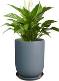 Ceramic Pot for Plants - 8 in Gray Planter for Indoor & Outdoor