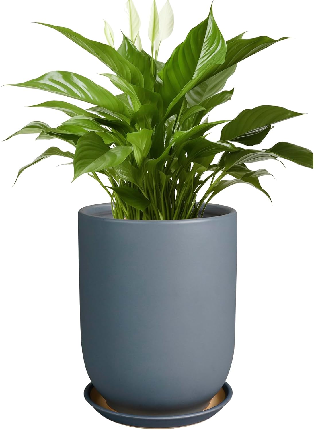 Ceramic Pot for Plants - 8 Inch Indoor Outdoor Planter Gray