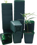 Square Nursery Seedling Pot 3.5 in 90 Pcs - Thick Reusable Seedling