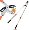 Extendable Anvil Loppers Tree Trimmer with Compound Action - Clean 2in