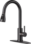 Kitchen Faucet with Pull Down Sprayer - High Arc Single Handle Classic