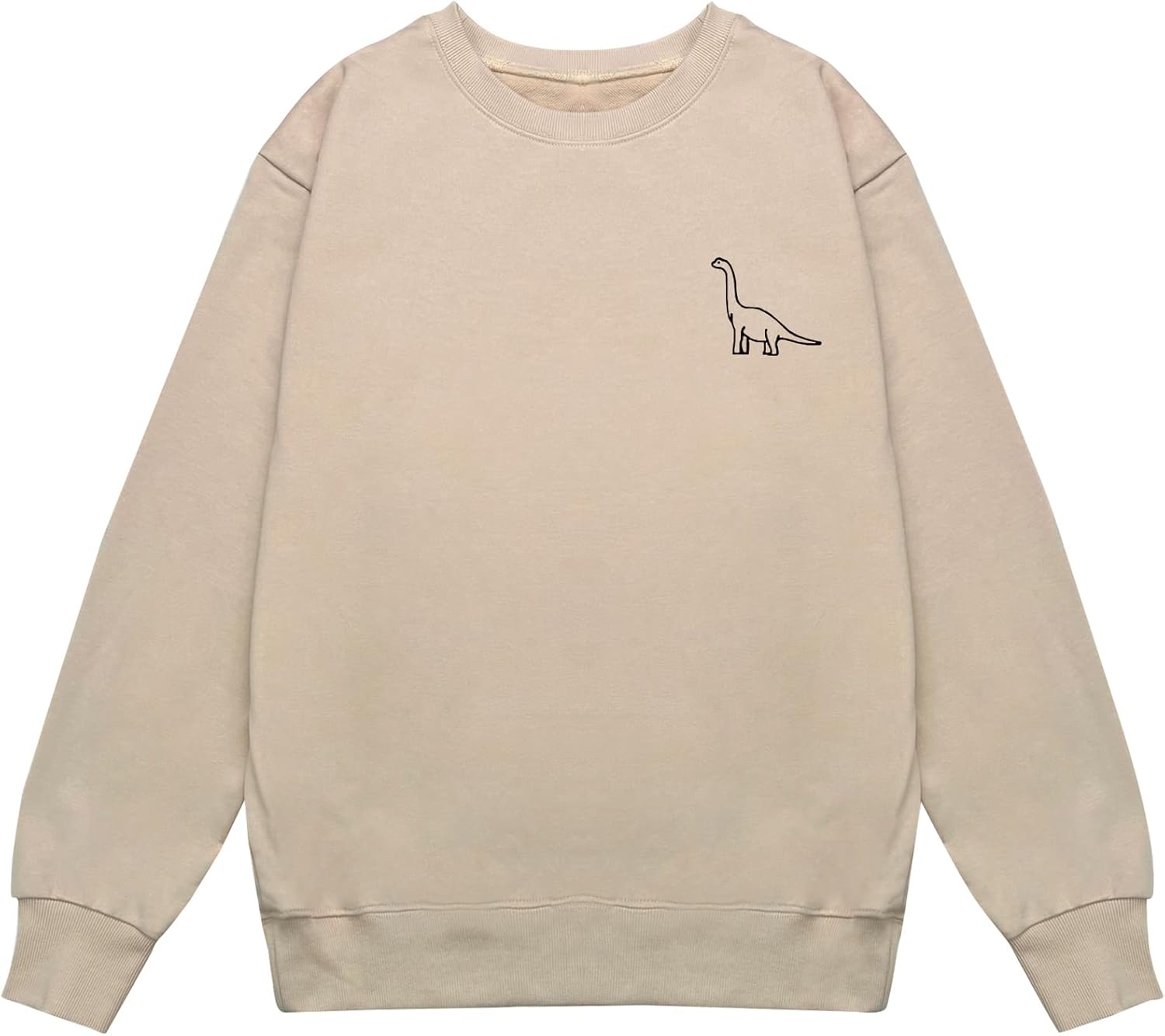Cute Dinosaur Graphic Oversized Sweatshirt