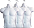 DisplayTown Male Mannequin Torso for Crafts and Photography Display