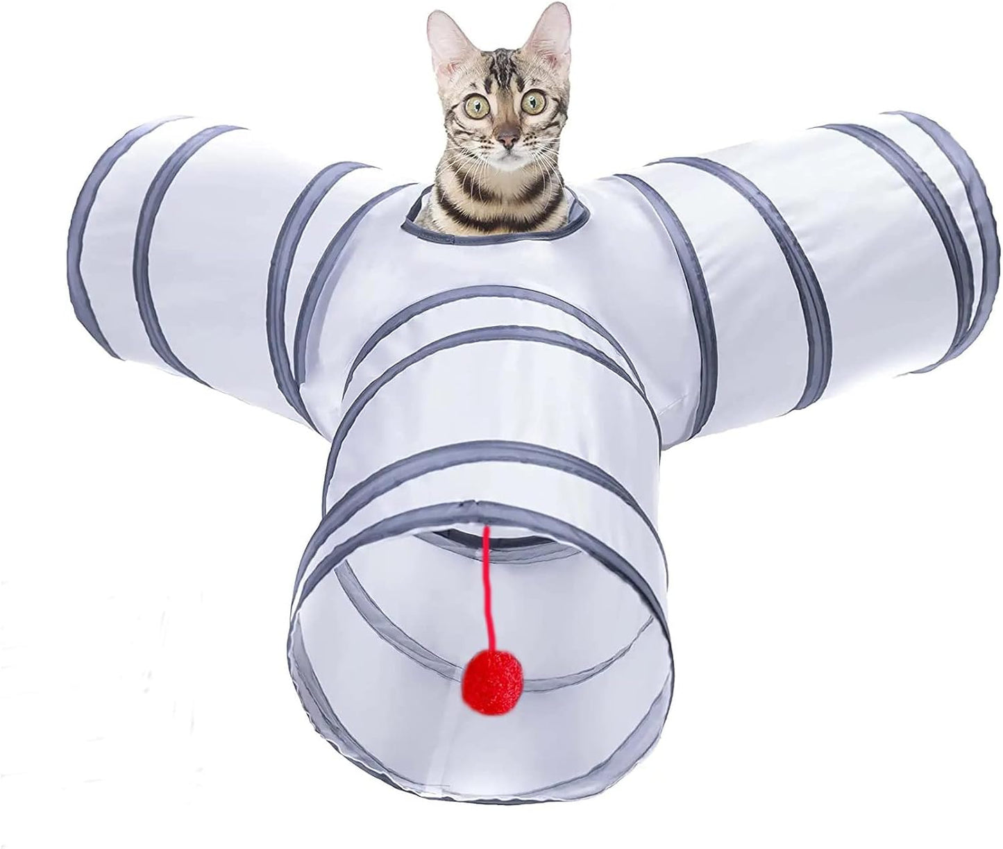 Interactive Cat Tunnel for Endless Fun - AliceDreamSky