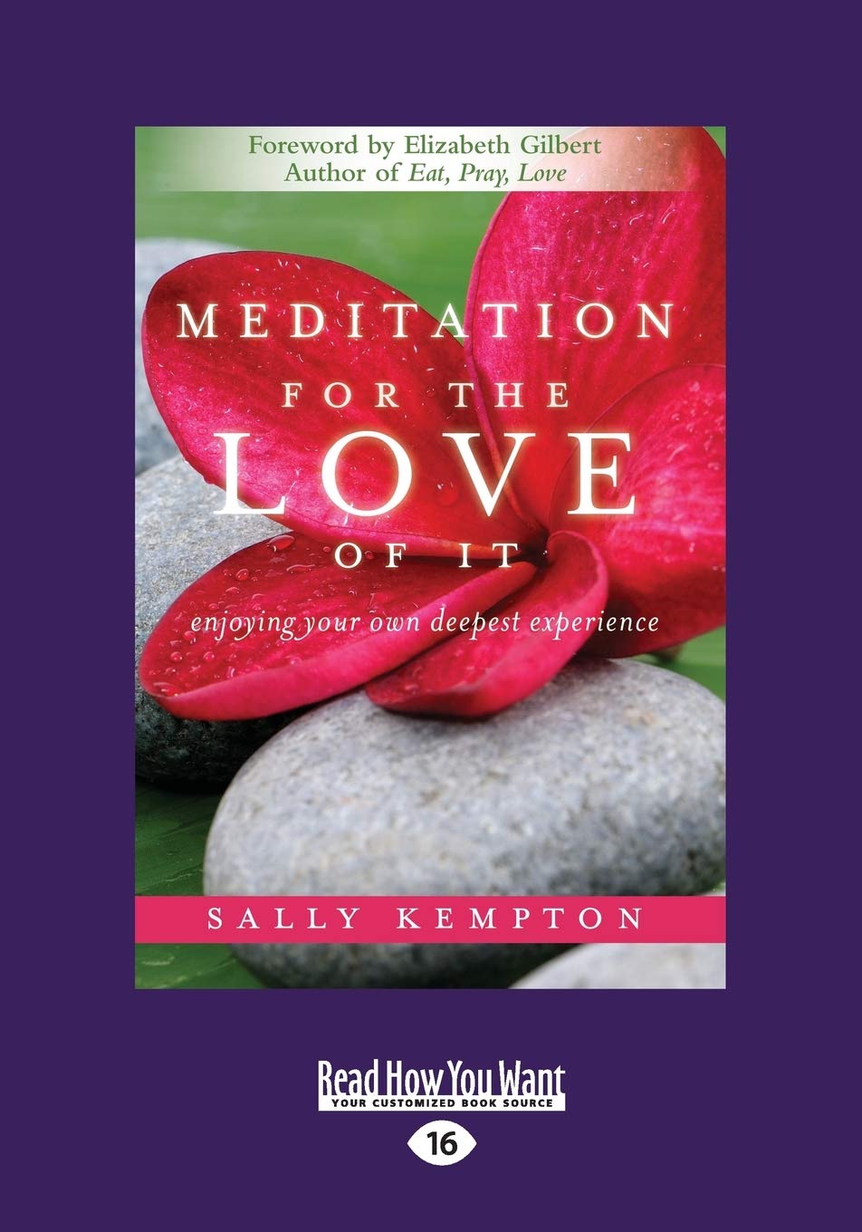 Meditation for the Love of It: Enjoying Your Deepest Experience