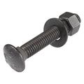 3/8 in x 2-1/2 in Black Carriage Bolt Kit - Ceramic Rust Protection