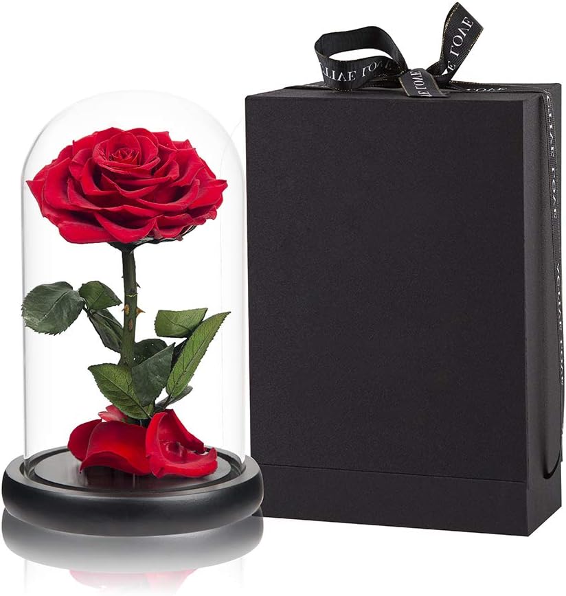 Red Roses Handmade Rose in Glass Dome for Romantic Gifts