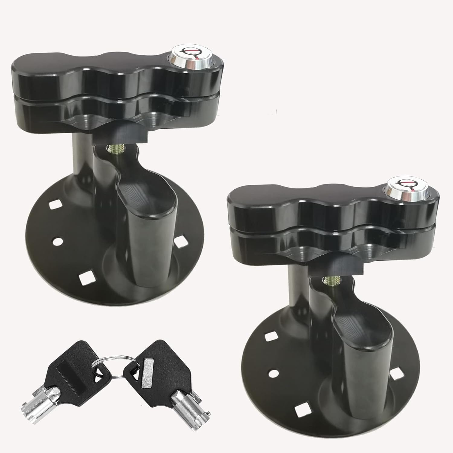 RX-LOX-PM Mount Lock 2 Pack with Keys for Rotopax Containers