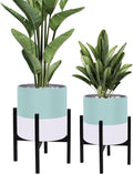 10 & 12 in Plant Pots with Stand - Modern Two-Tone Indoor Planters