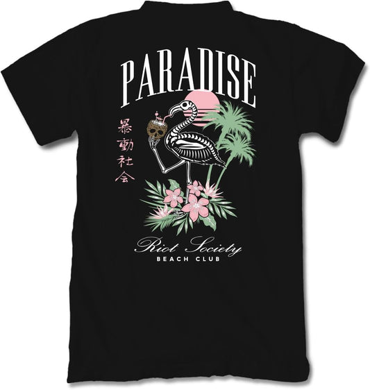 Riot Society Men's Short Sleeve Graphic T-Shirt for Summer Fun