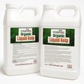 Liquid Kelp Fertilizer for Organic Growing - 5 Gallons