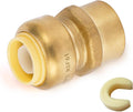 HeSun 100-Pack Pushfit Female Adapter 3/4ft FNPT x 3/4ft Push