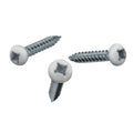8x1 Pan Head Metal RV Screws Polar White Multi-Pack (500)