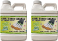 Paint Brush Cleaner for Oil and Acrylic Brushes - Non Toxic 18 oz