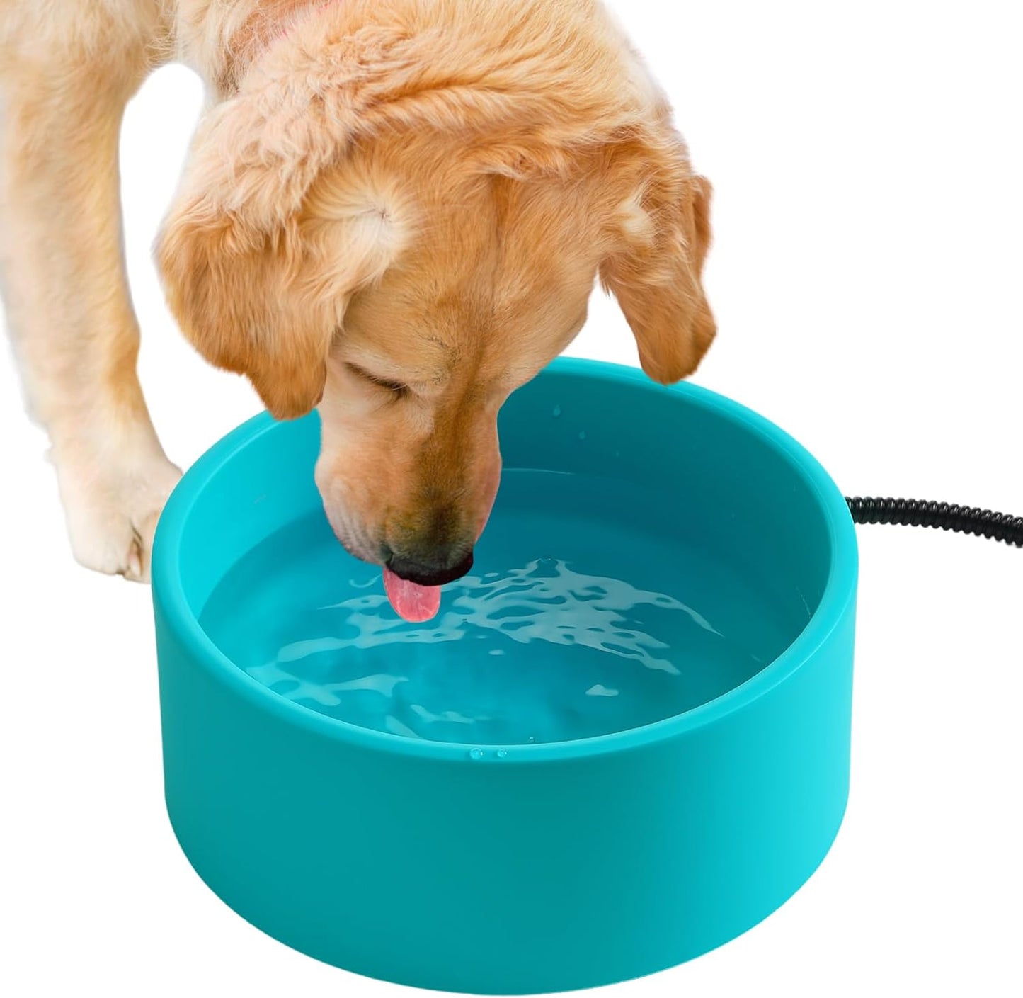 Heated 3.2L Water Bowl for Outdoor Pets - Thermostatic Control, 6.6Ft Cord, Winter Essential