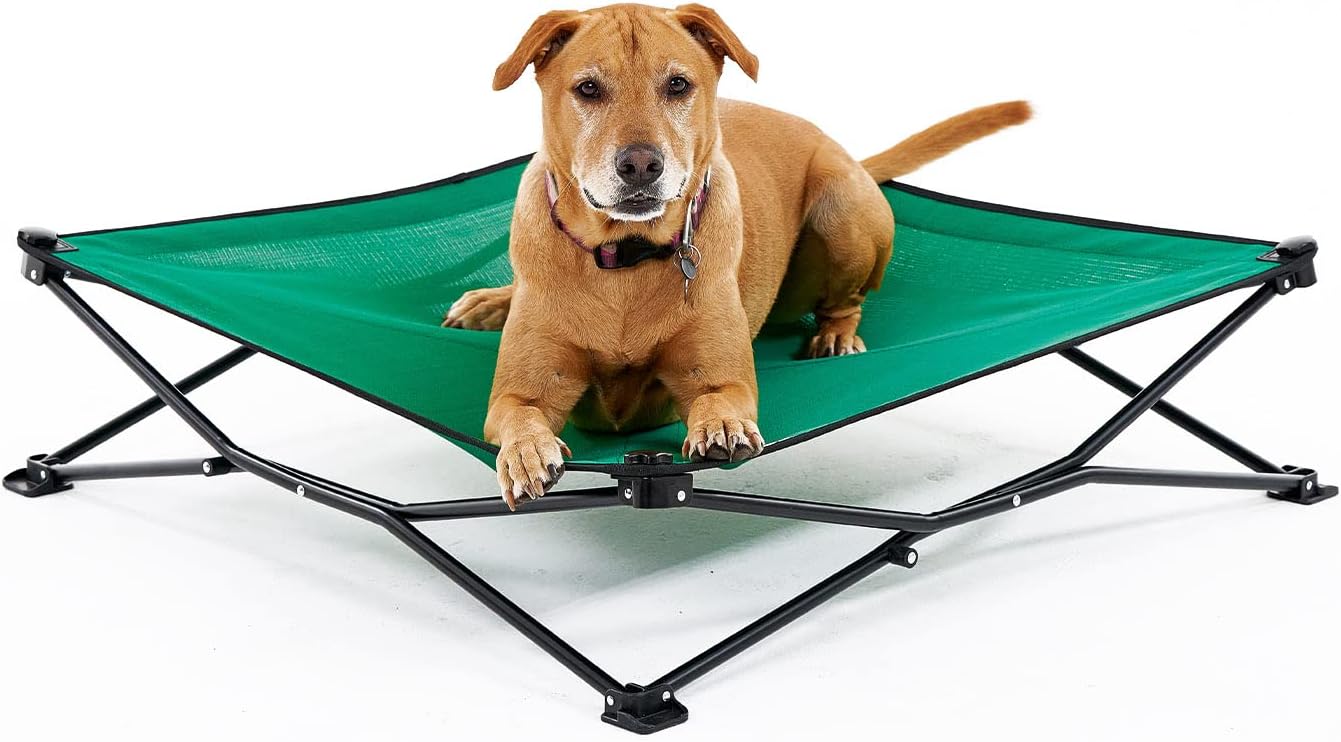Coolaroo On-The-Go Elevated Dog Bed for Travel Comfort