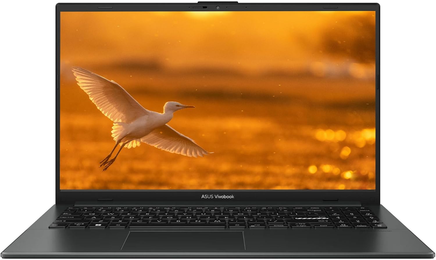 ASUS 2025 Lightweight Laptop with 15 FHD OLED Display