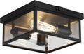 Outdoor Ceiling Light with Motion Sensor 12 in Flush Mount - Dusk