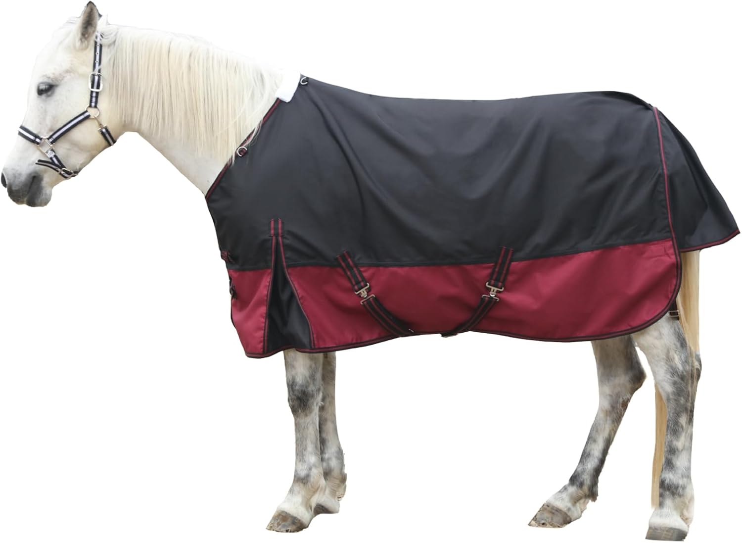 1200D Ripstop Poly Waterproof Winter Turnout Horse Blanket 200g Fill 81 Blackwine, Gallopoff