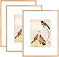 8.5x11 Picture Frame Set of 3 for Wall and Table Display