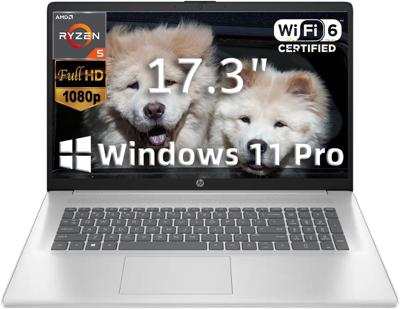 HP 17.3 Business Student Laptop with Ryzen 5 and 2TB SSD