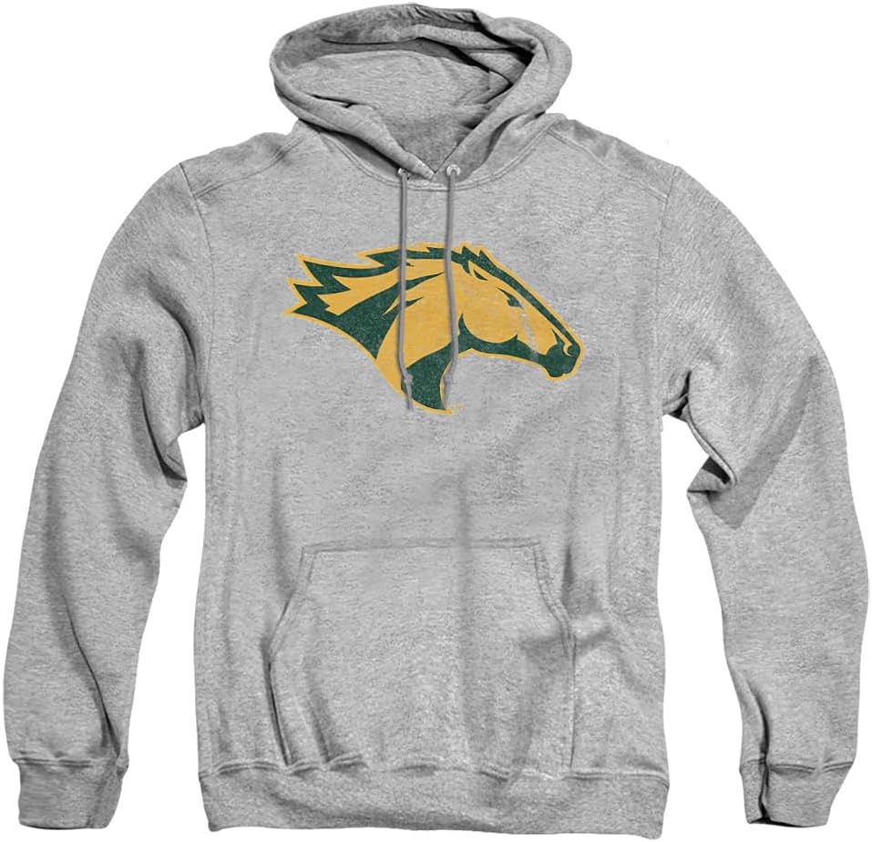 Official Collegiate Distressed Primary Logo Hoodie for Fans