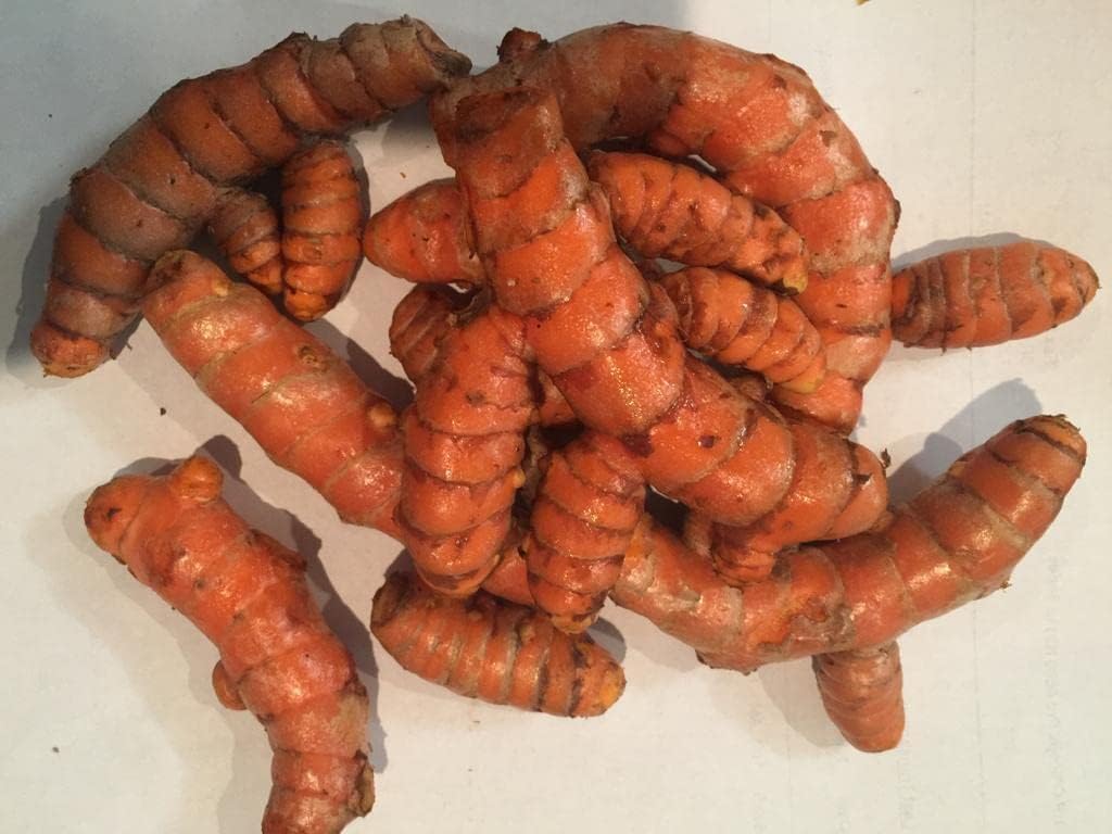 Fresh Organic Turmeric Root - Whole Raw Root for Health