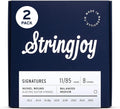 Stringjoy 8 String Signature Nickel Electric Guitar Strings - Balanced