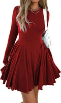 Womens Long Sleeve Casual Swing Dress A-Line Fit and Flare Mini