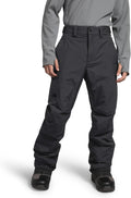THE NORTH FACE Men's Freedom Insulated Pant - Warm, Waterproof