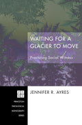 Waiting for a Glacier to Move: Practicing Social Witness Review