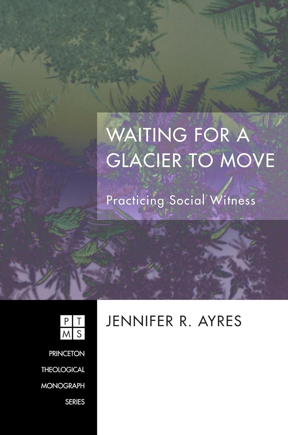 Waiting for a Glacier to Move: Practicing Social Witness Review