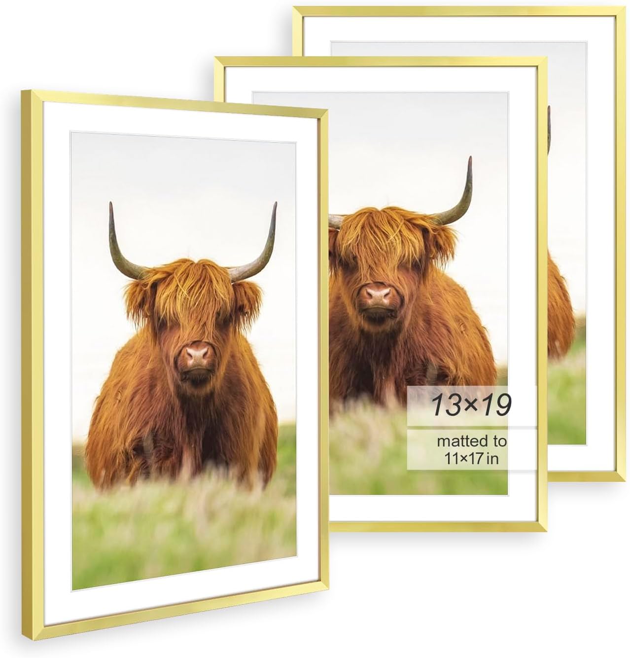 Modern Gold Thin Border 13x19 Picture Frame Set of 3 for Display