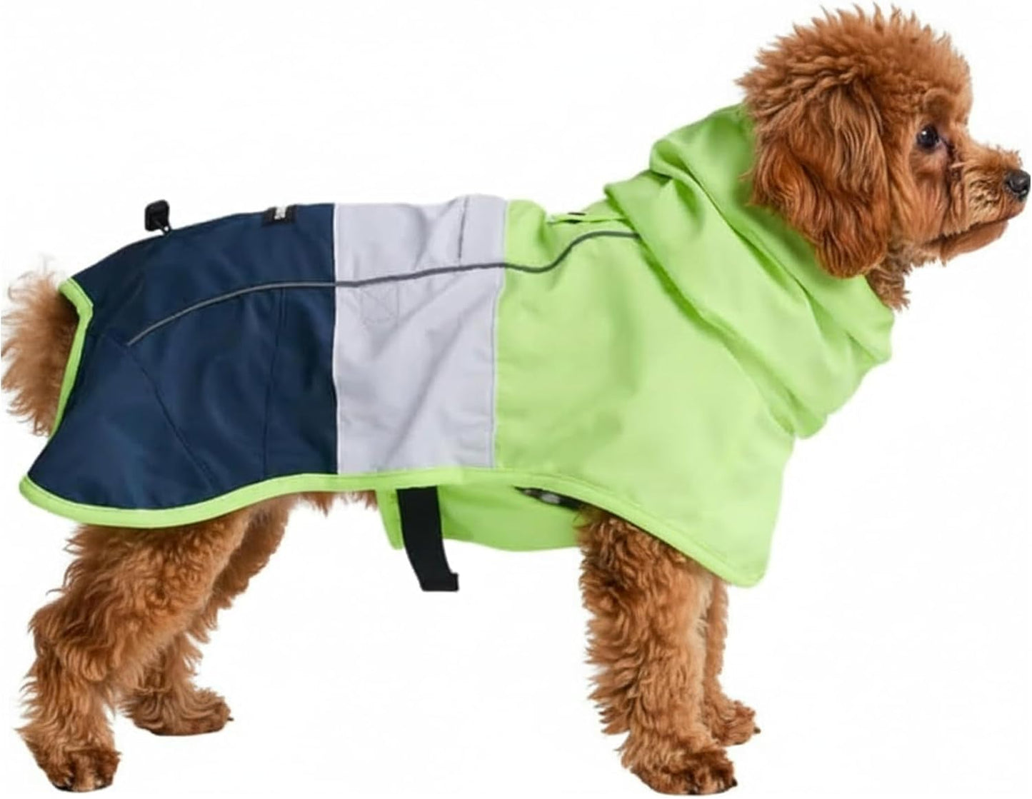 Spark Paws Dog Raincoat for All Sizes - Waterproof and Windproof