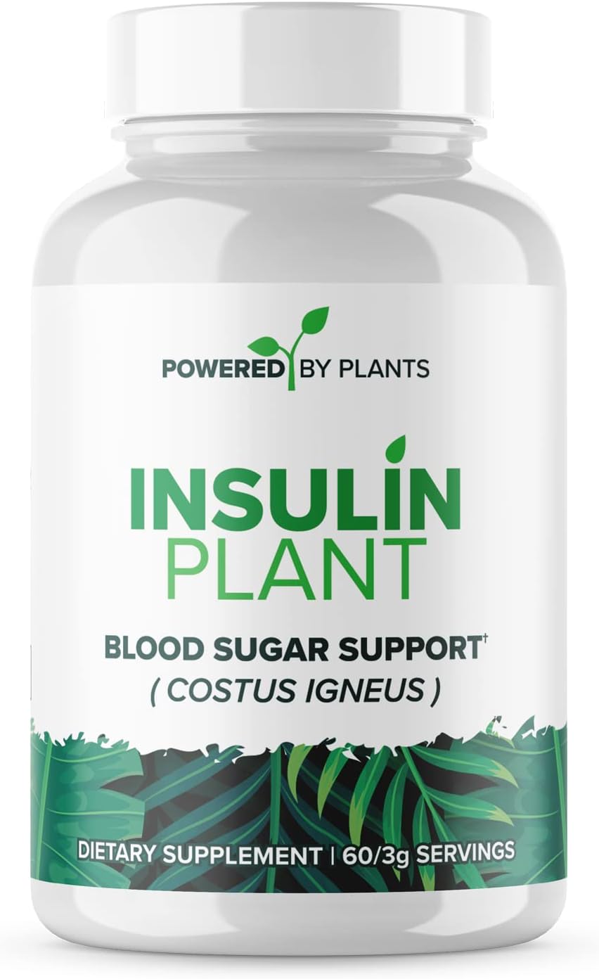 Insulin Plant Capsules - 3000mg Costus Igneus Leaf Powder