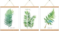 3 Pack Magnetic Poster Hanger Frame 20 in Pine Color - Easy Wall