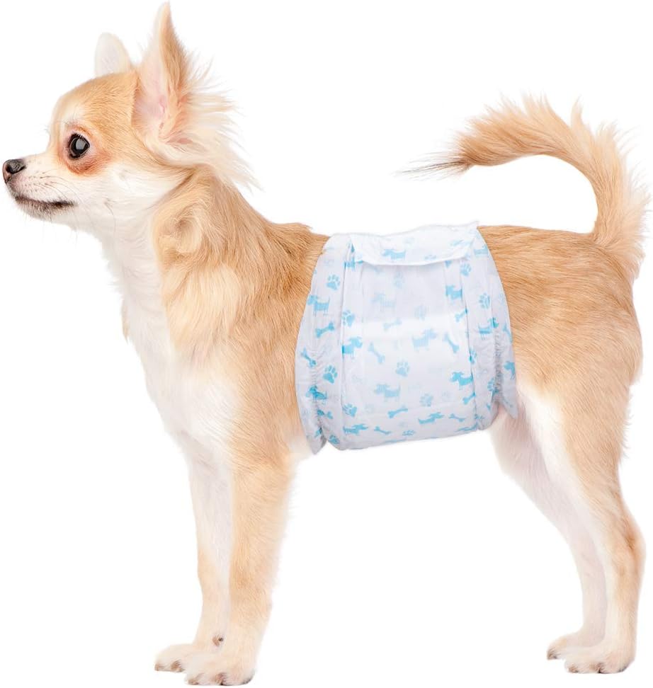 Absorbent Male Dog Diapers - Leak Protection for Excitable Dogs (Medium, Pack of 22)