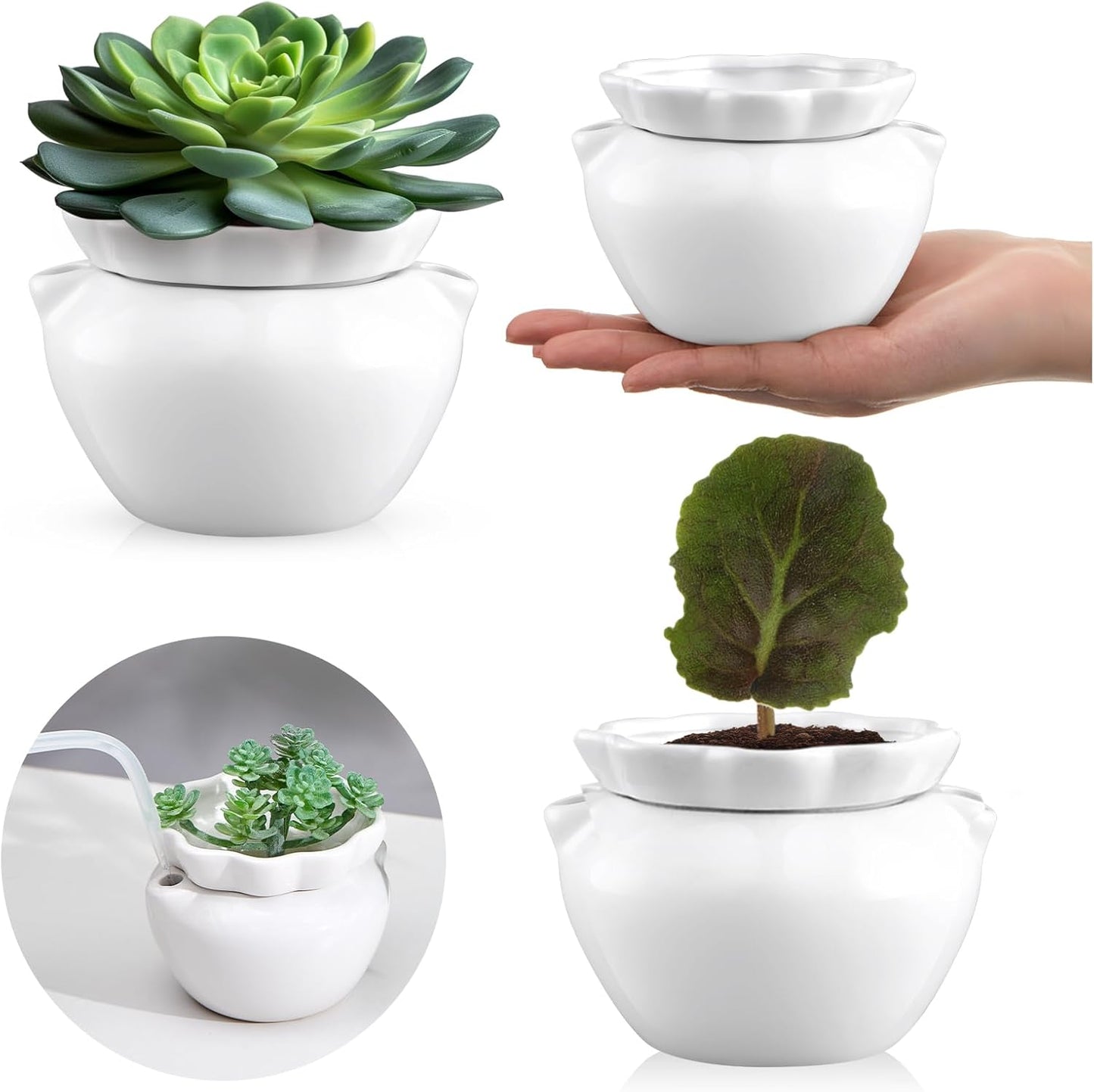 4 Inch Self Watering African Violet Pots for Indoor Plants