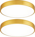 2 Pack Gold LED Ceiling Light Fixture Flush Mount 15 in - Dimmable 36W