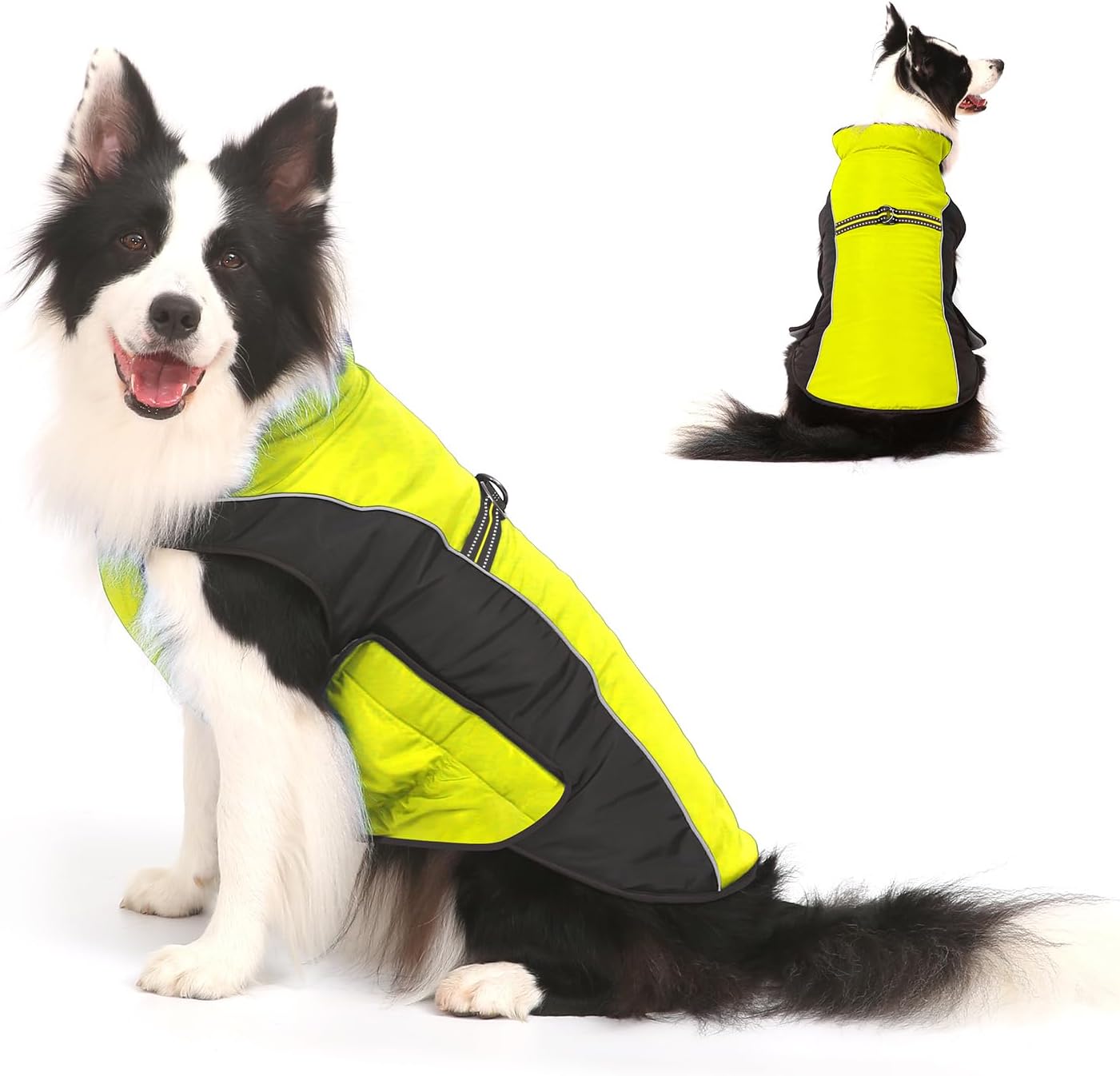 Warm Dog Winter Coat for Small to Large Dogs - Gimilife