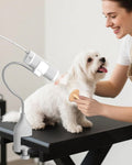 2-in-1 Hands-Free Dog Hair Dryer with Table Clamp - Quiet Fast Drying