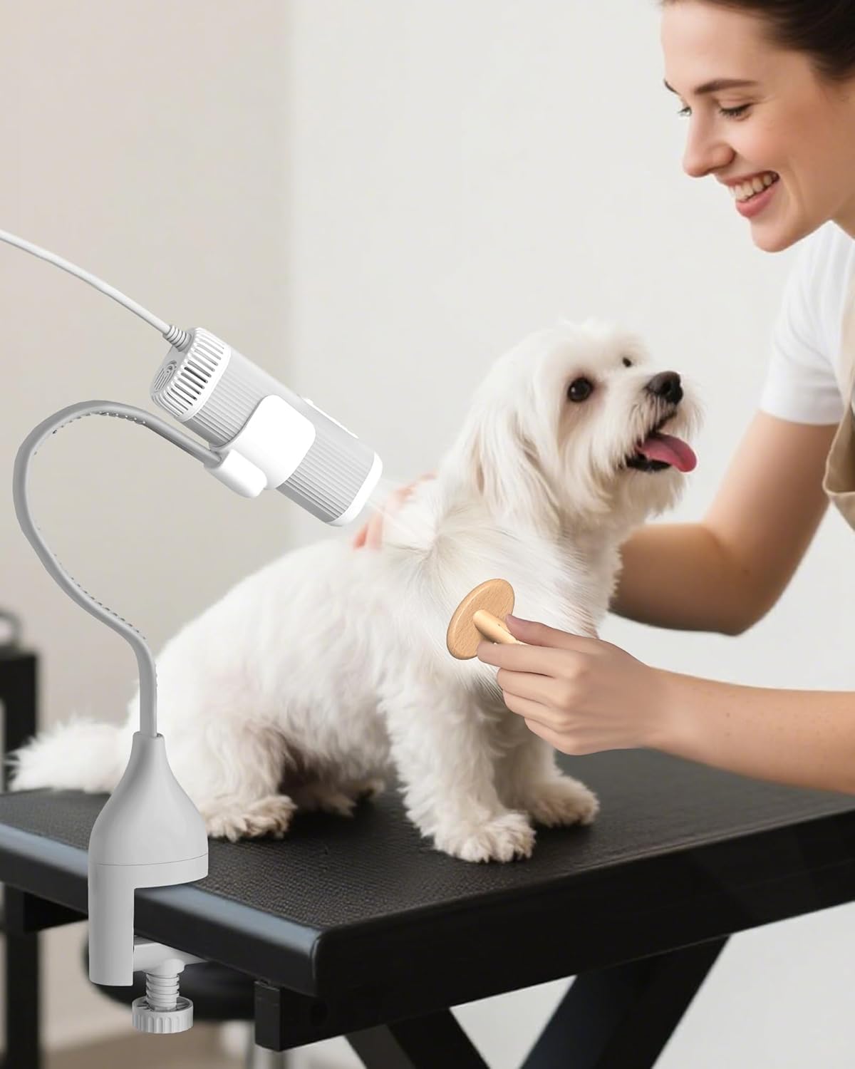 2-in-1 Hands-Free Dog Hair Dryer for Quick Pet Grooming