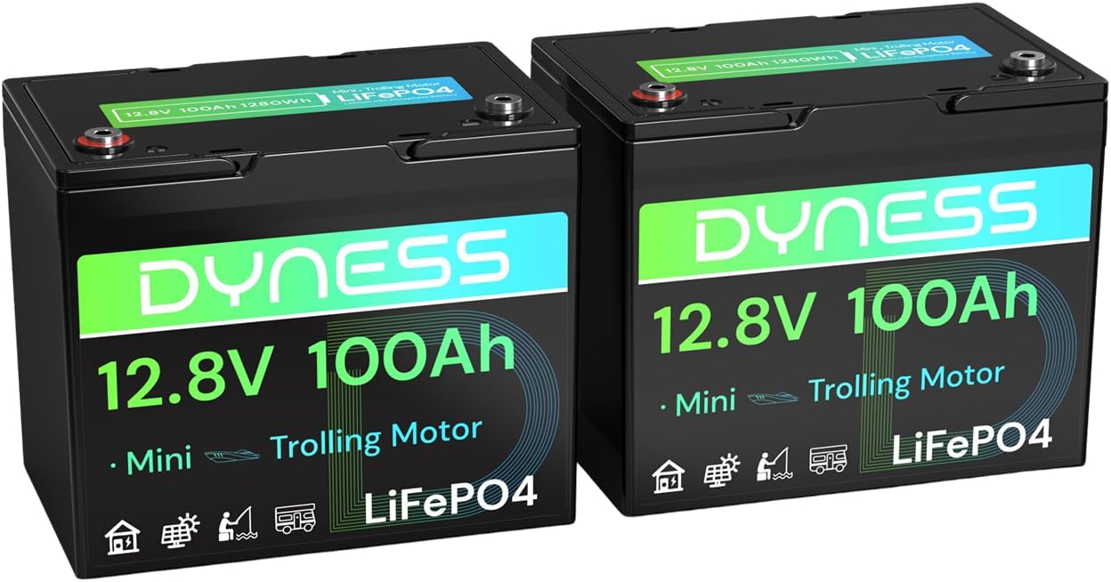 12V 100Ah Mini LiFePO4 Battery for RV, Boat, and Solar Use