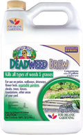 Captain Jack's Deadweed Brew 128 oz Concentrate - Fast Organic Weed