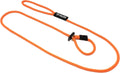 Mad Dog Products English Slip Dog Lead for Easy Training
