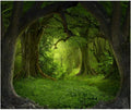 10x8ft Green Jungle Forest Backdrop for Enchanted Birthday Parties